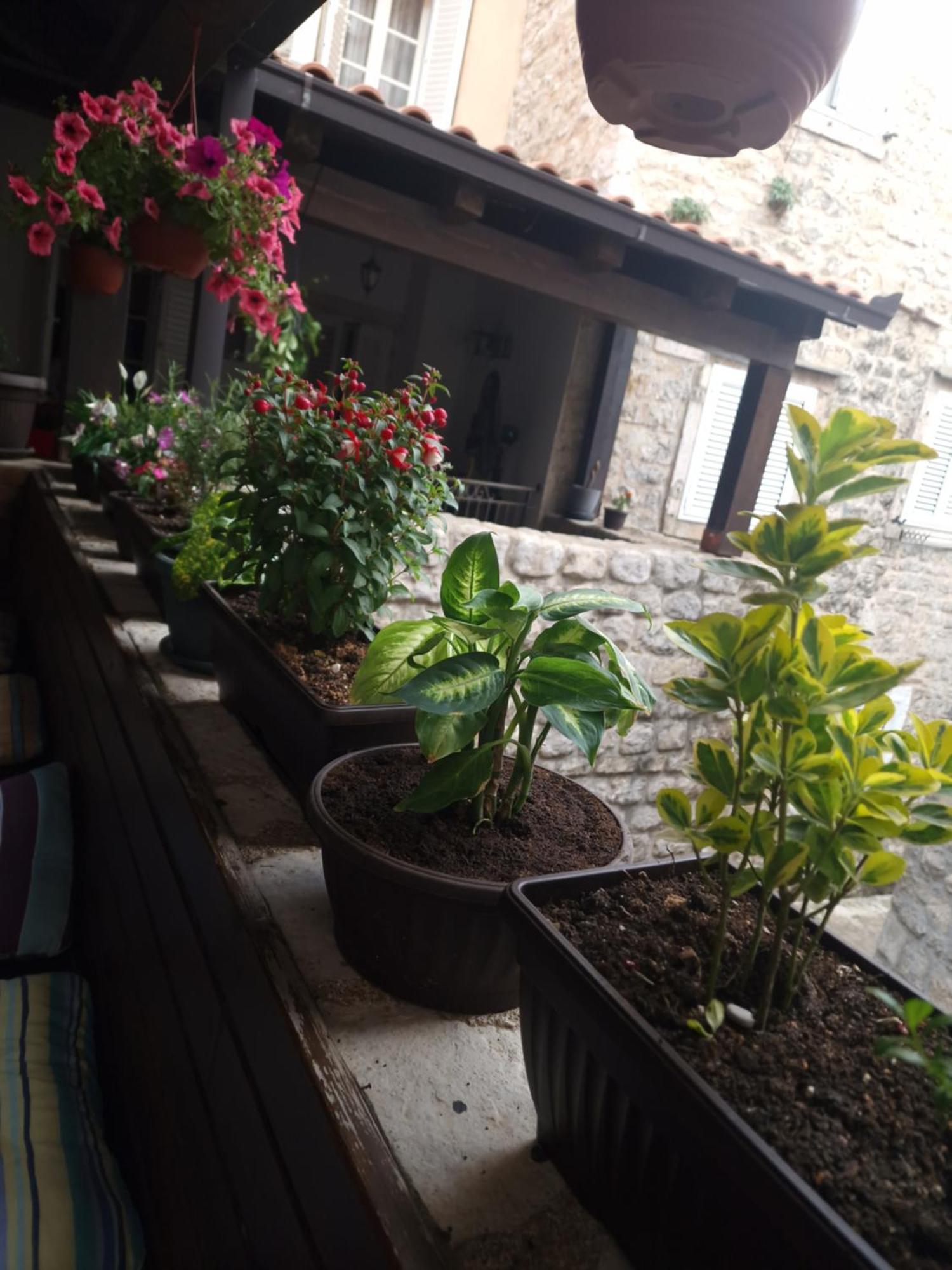 Rooms Dana Old Town Budva Kültér fotó
